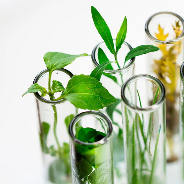 duurzame-cosmetica- biotechnologie